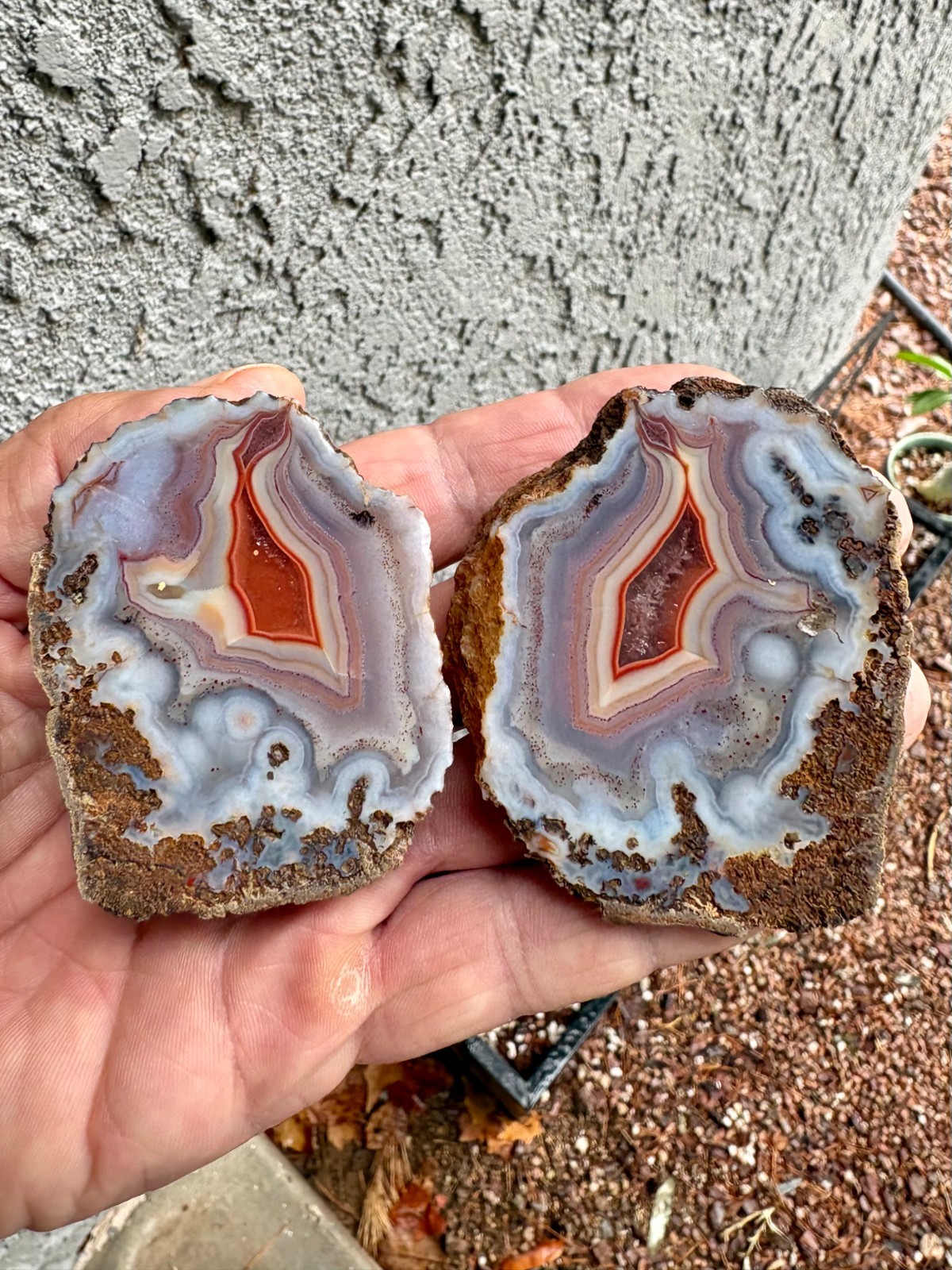 Large Polished Matching Pair Old Stock Malawi Agate Half Nodules - See Pictures