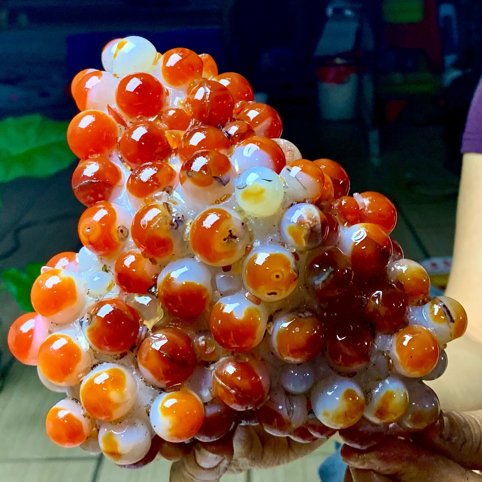 3.22LB Natural Gobi Agate Eye Agate grape shape Crystal Madagascar mineral