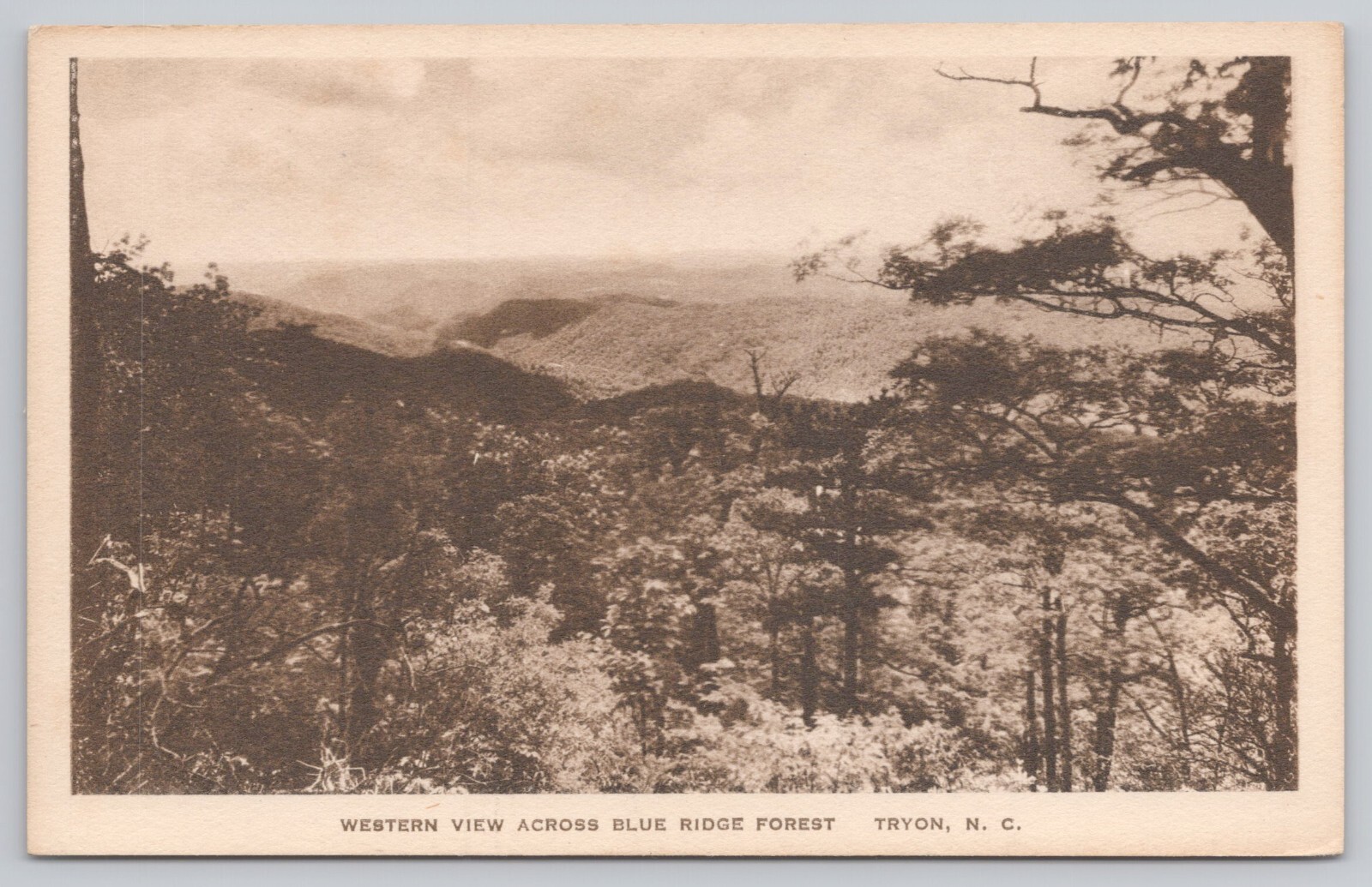 Tryon North Carolina, Blue Ridge Forest Western View, Vintage Postcard Tryon North Carolina, Blue Ridge Forest Western View, Vintage Postcard
