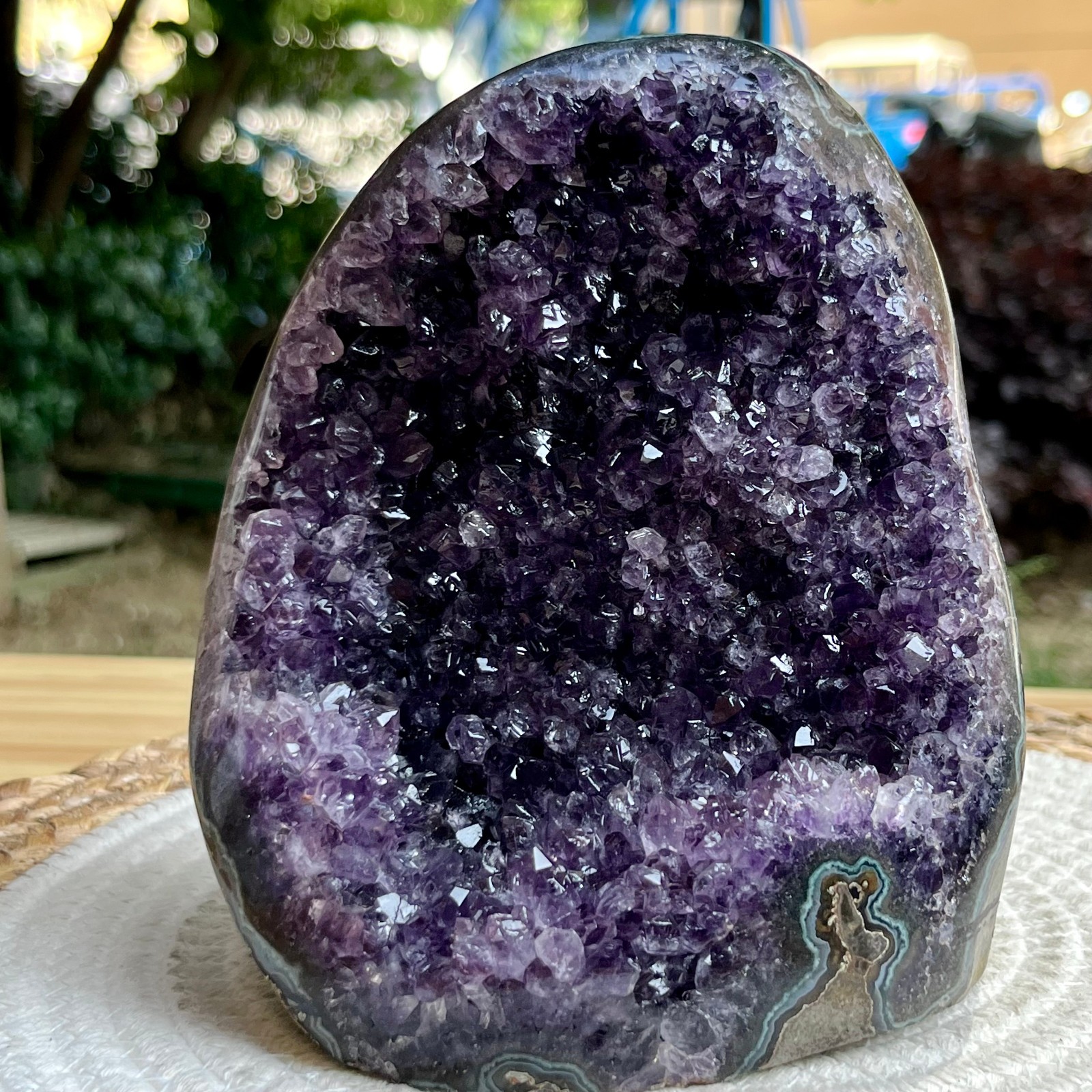 3.5 lb Cathedral Amethyst Cluster Natural Matrix Base Flat Cut Display Specimen