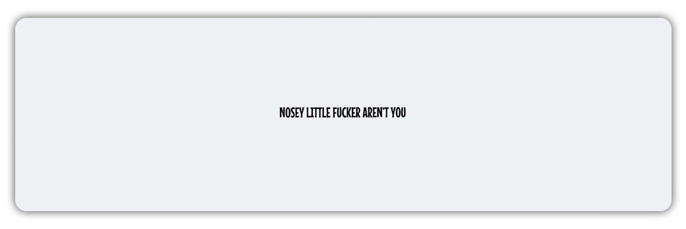 Funny Bumper Sticker - Nosey Little F*cker Aren\'t You - Mind Your Own Business