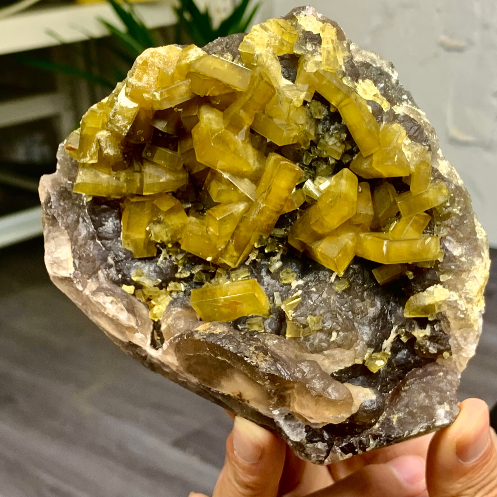 2.58LB Natural