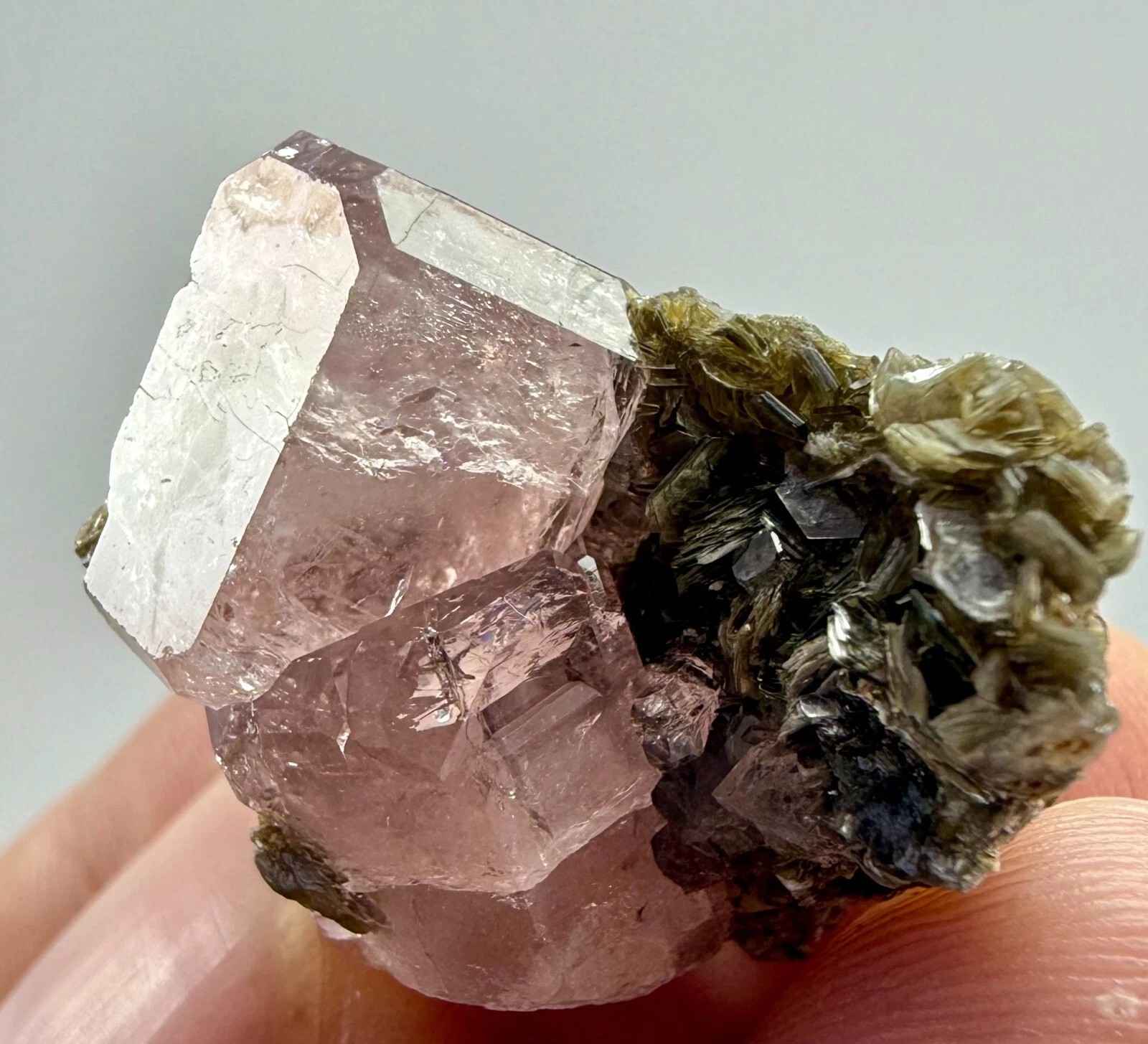 59 CT Pinkish Apatite Crystals on Muscovite from Skardu Pakistan e4