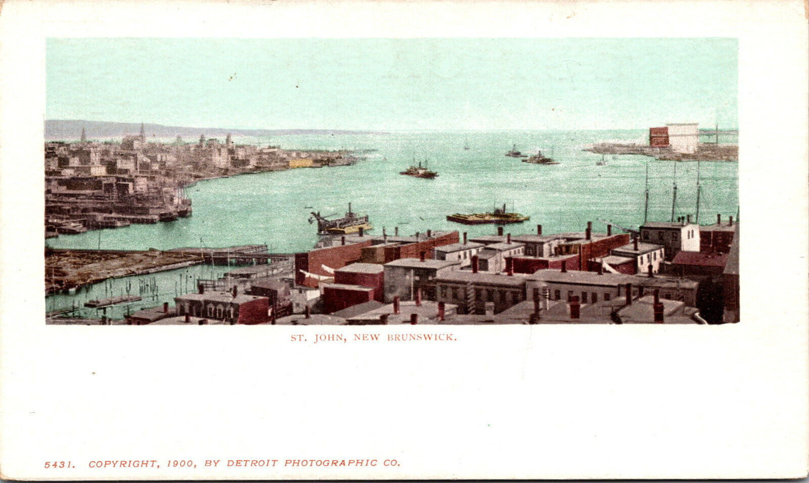 Vtg 1900 St Johns New Brunswick Canada Antique Unidivided Back Postcard