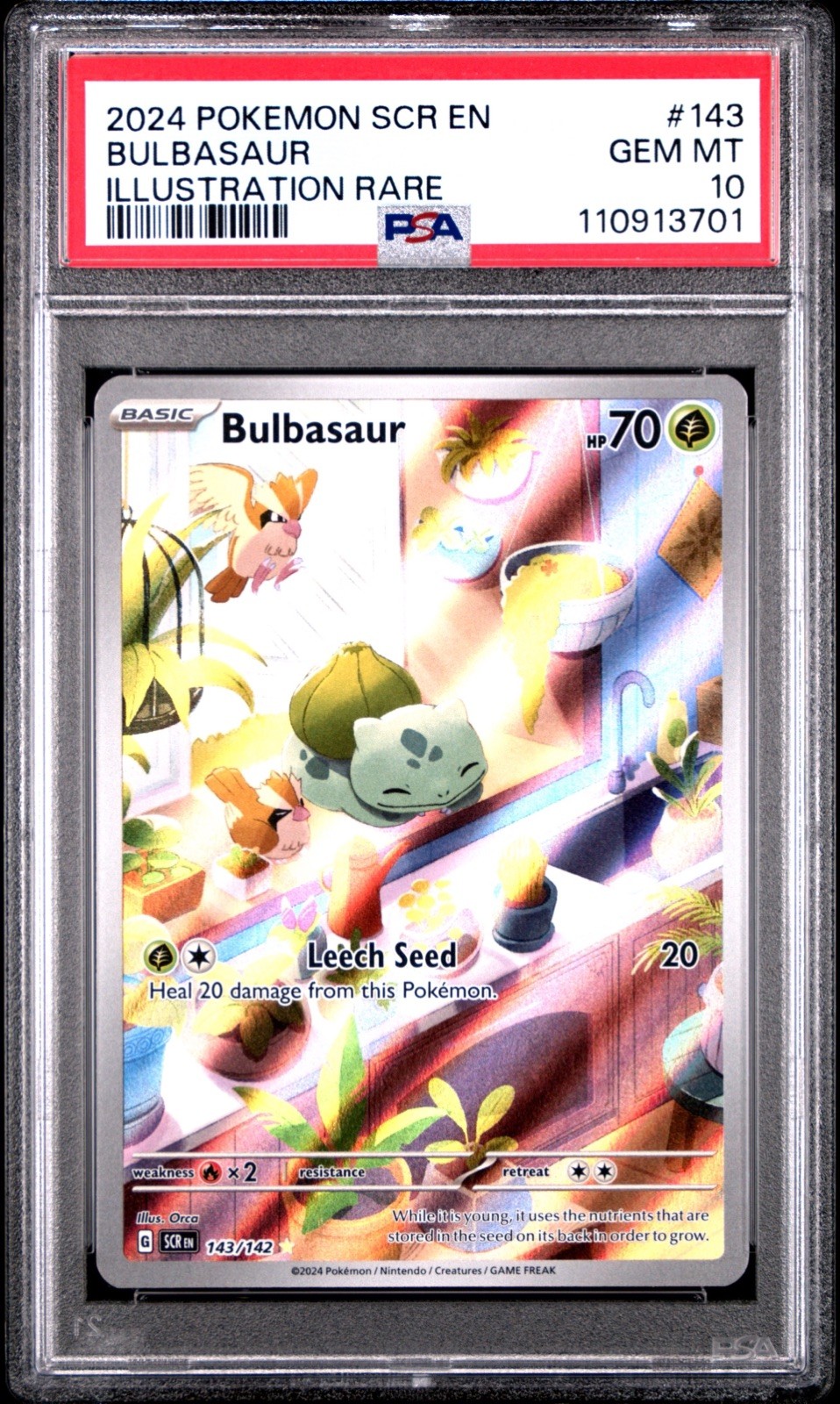 PSA 10 Bulbasaur 143/142 Stellar Crown Illustration Rare Pokemon Card EN