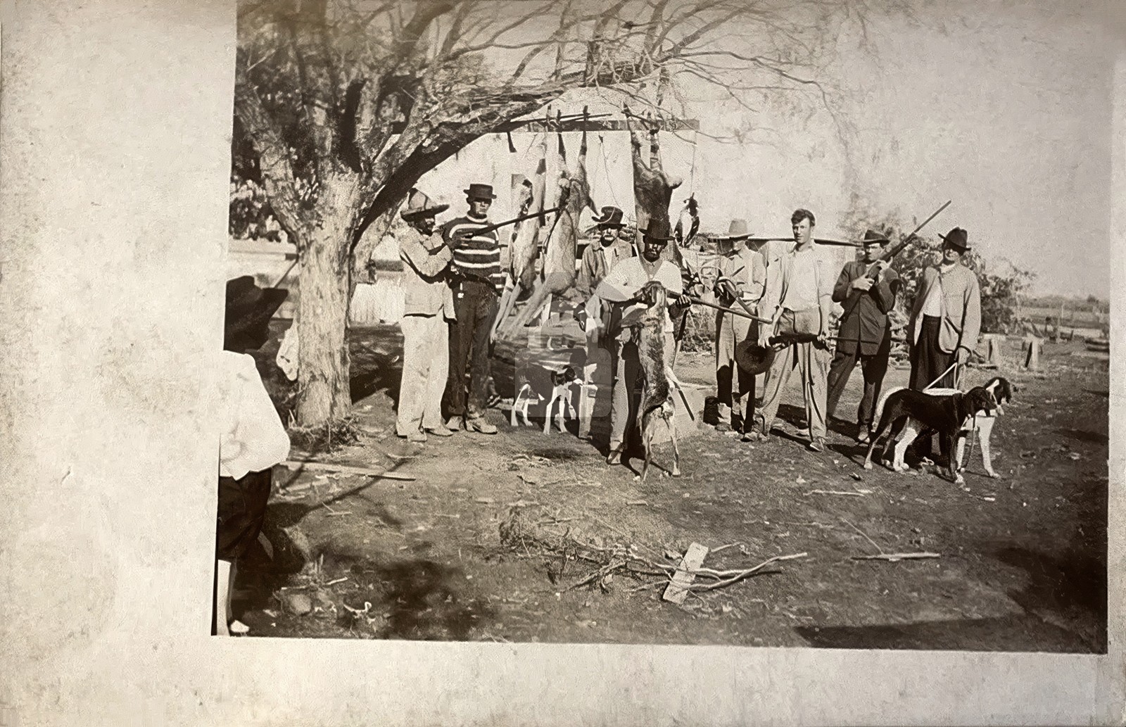 c1915 Benton Arkansas Saline County After Hunt w/Bonus Bears RPPC Postcard COPY