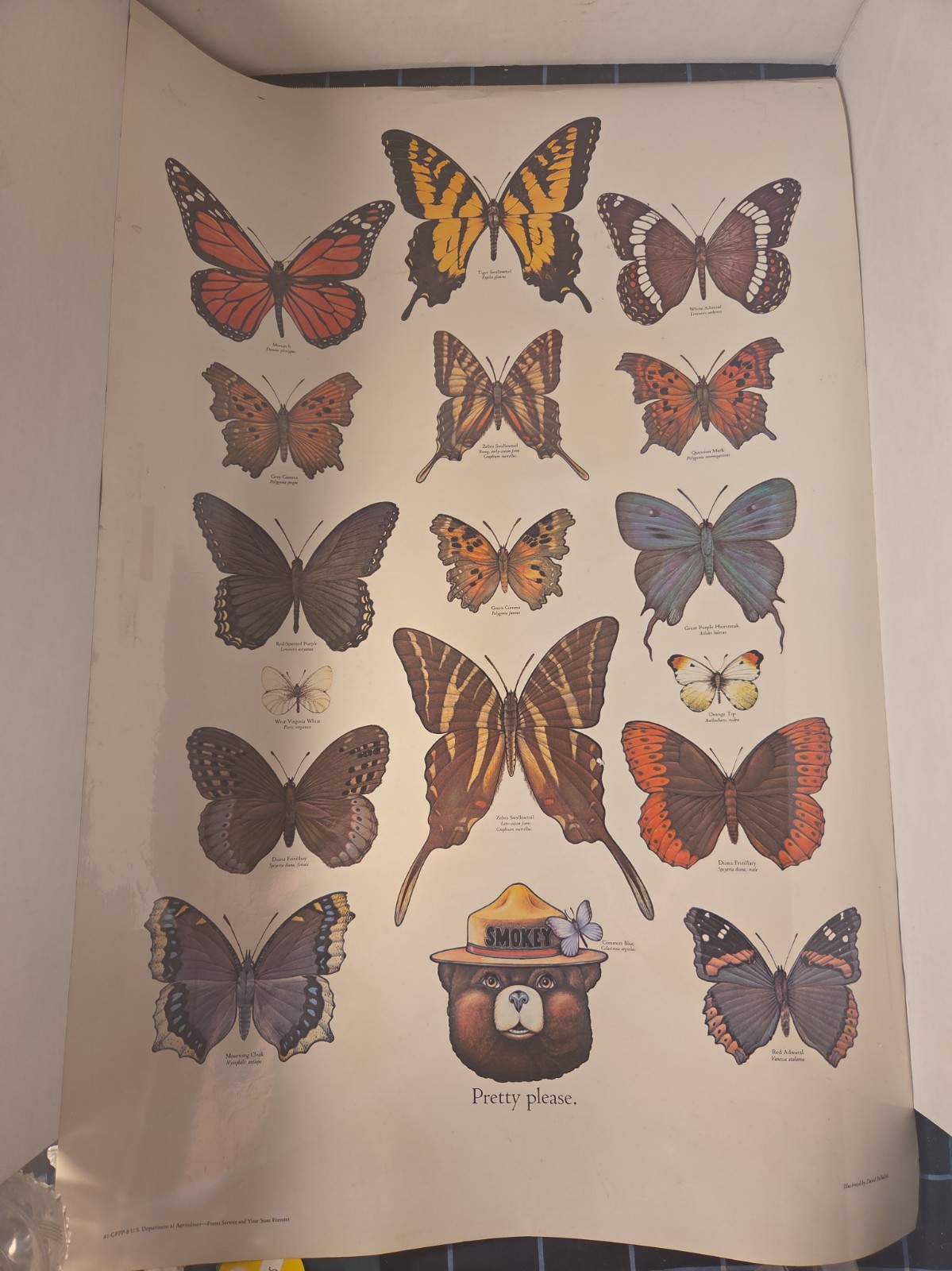 Vintage 1981 Smokey Bear Pretty Please Butterfly Poster USDA Forest Service