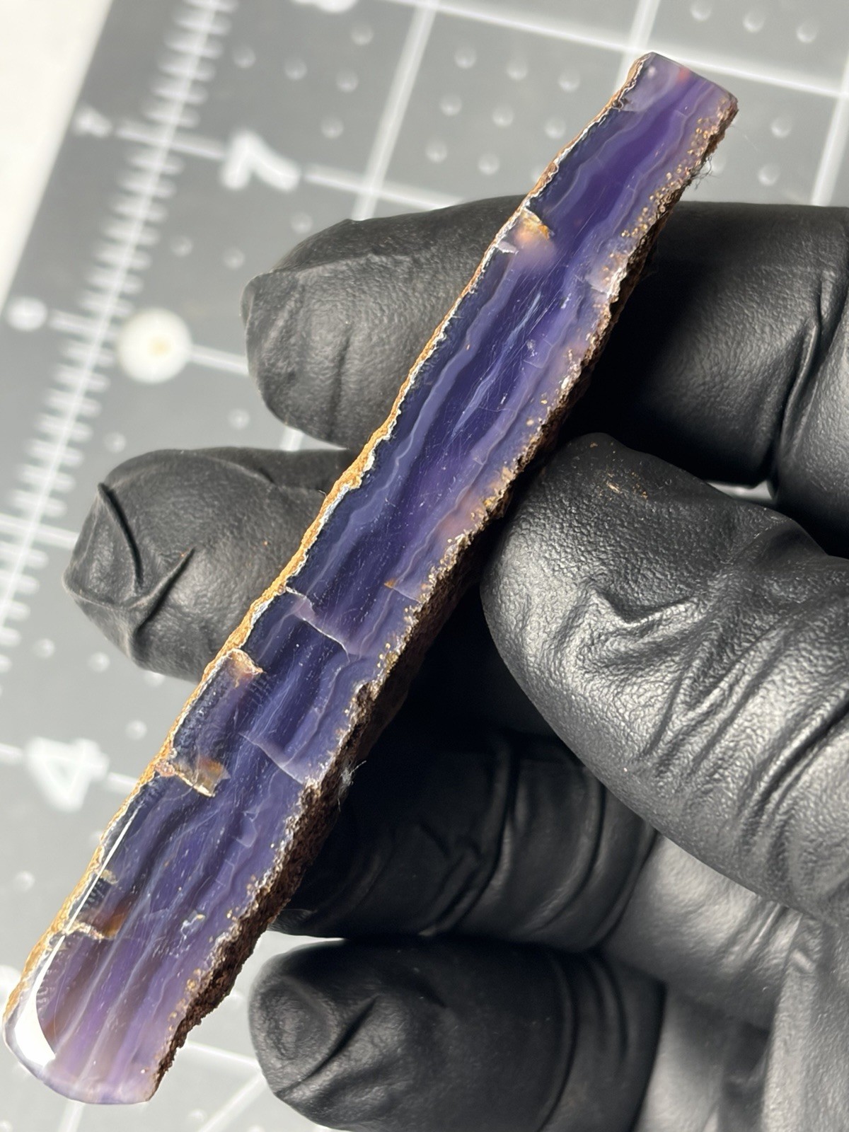 Holley Blue Agate Oregon Deep Purple Gemmy Holly Polished Specimen 