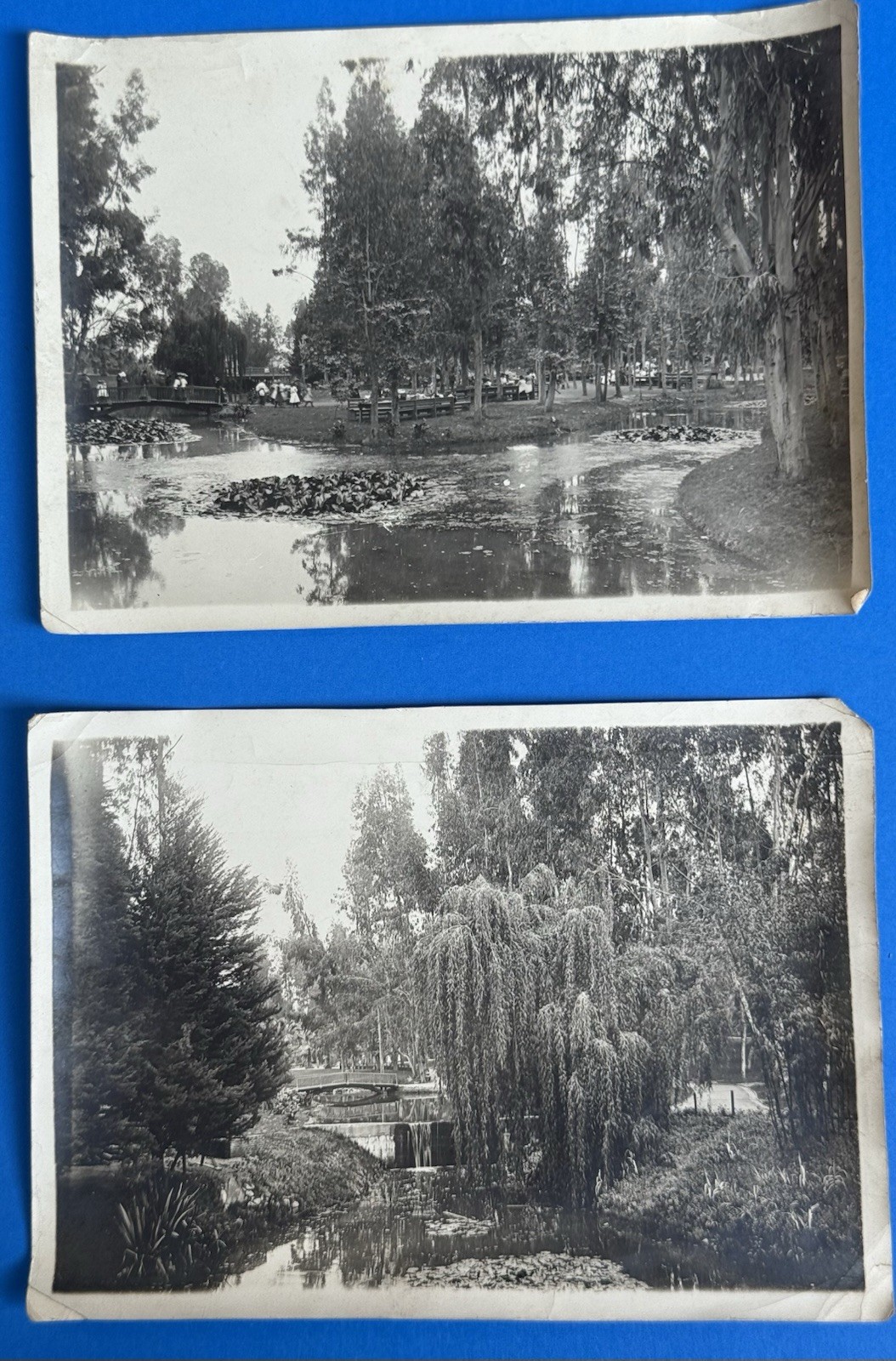 ca 1908 2 Original Photographs East Lake Park (Lincoln Park) Los Angeles, CA