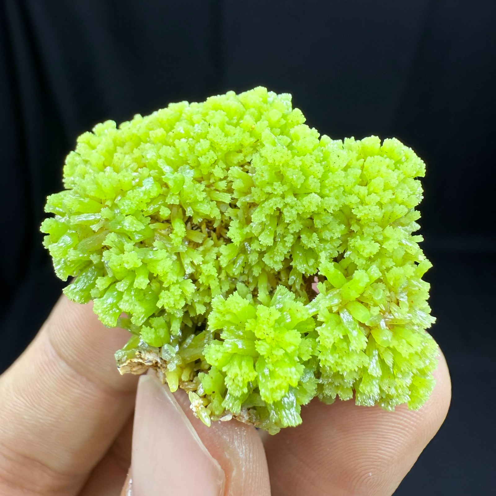 24G BEST Natural Pyromorphite Crystal Quartz Minerals Specimens