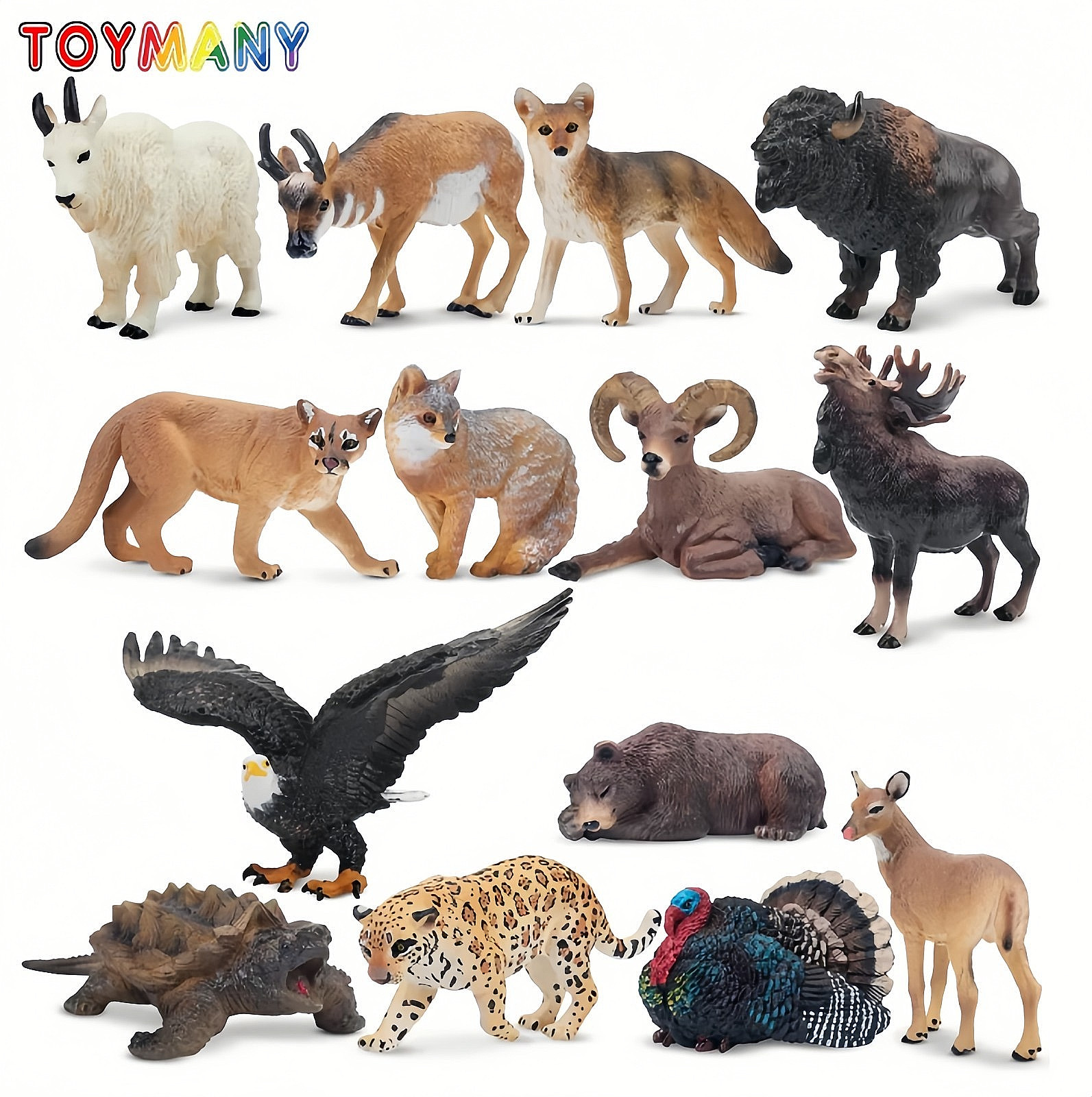 Toymany Toymany 14pcs Simulation Mini North American Animals Mod Toymany Toymany 14pcs Simulation Mini North American Animals Mod