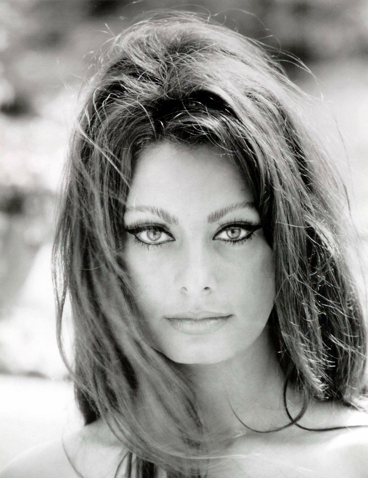 Sophia Loren Beauty Black And White 4x6 Picture Celebrity Print