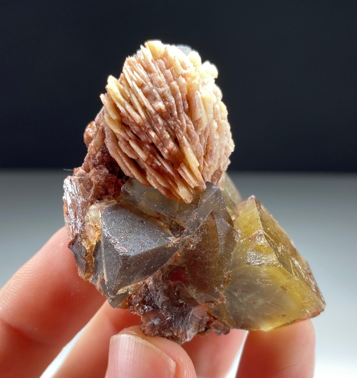 YELLOW & BLUE FLUORITE WITH BARITE FROM TOUROUG-EL HAMDA, MOROCCO - FLUORESCENT