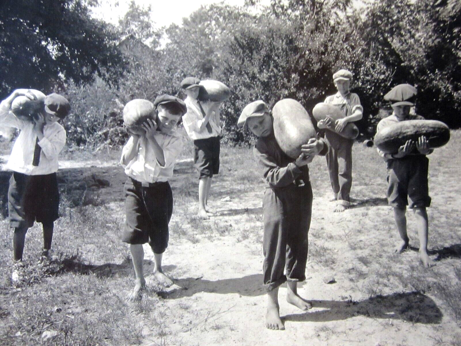 Vintage Boys Picking Giant Watermelons Photo Kids Newsboy Hats Barefoot 1920-30s