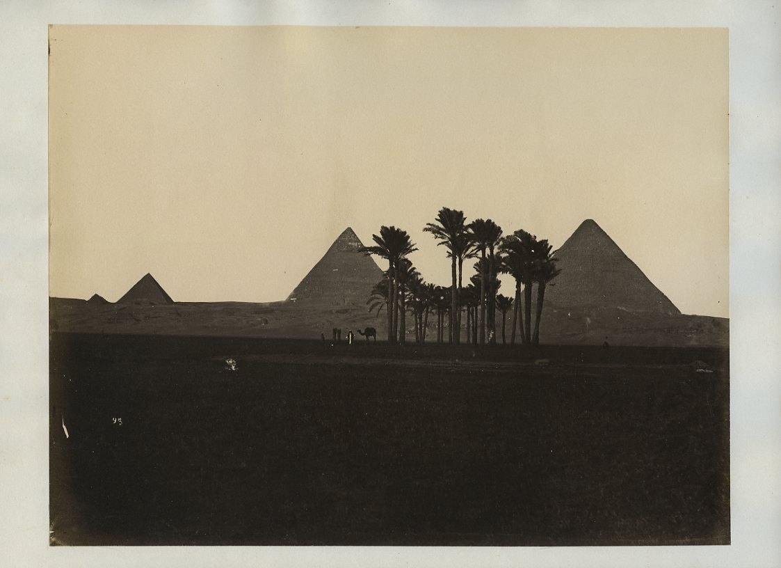 Pyramids Giza Cairo Egypt Palm Trees Camel c1870s VTG Photo