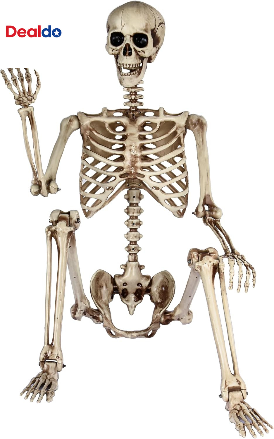 5.4Ft Life Size Skeleton,Poseable Halloween Giant Skeletons Decorations Outdoor, 5.4Ft Life Size Skeleton,Poseable Halloween Giant Skeletons Decorations Outdoor,
