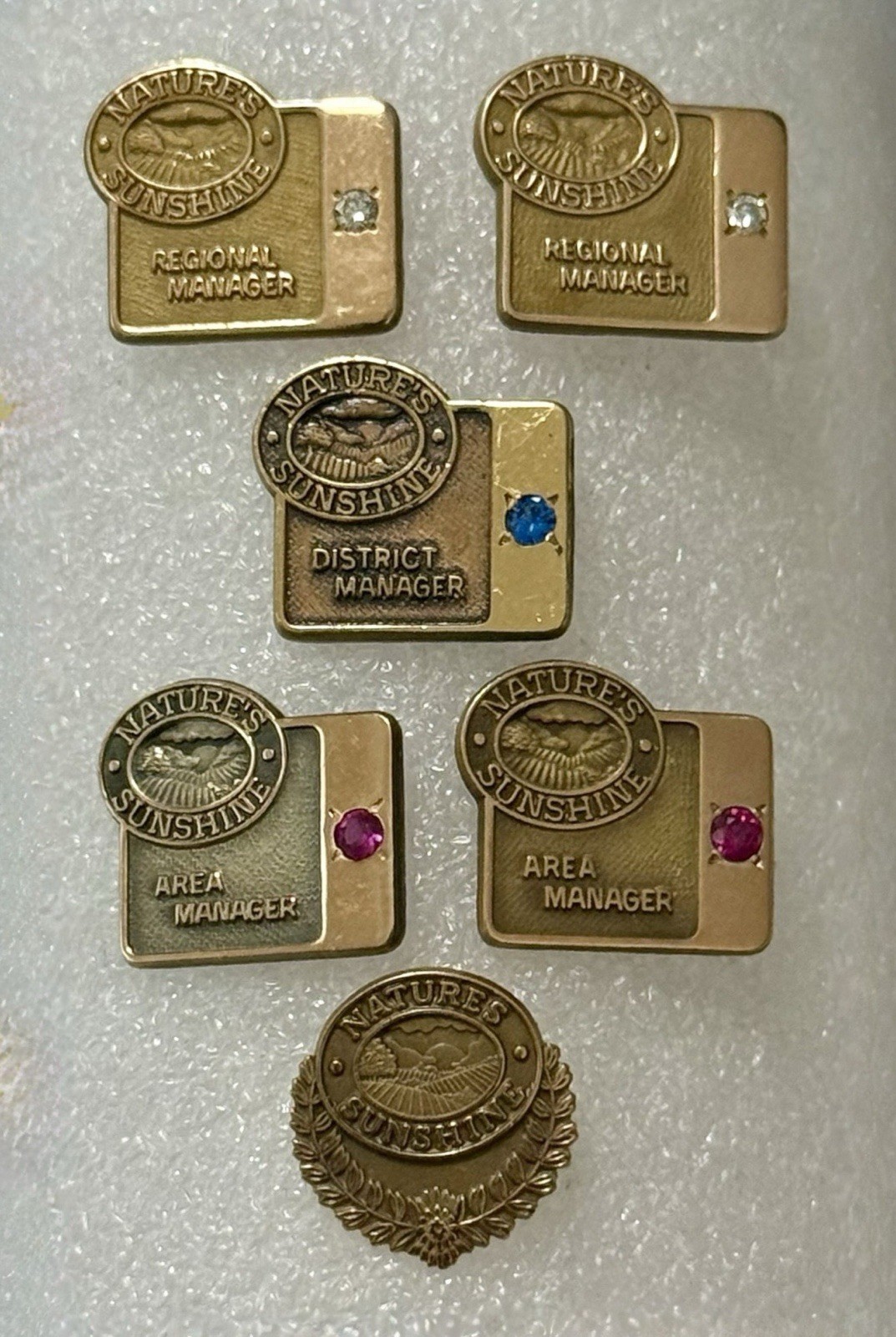 Lot 6 Vintage Nature’s Sunshine Manager Rank Pins 10K GF Diamond Ruby Sapphire