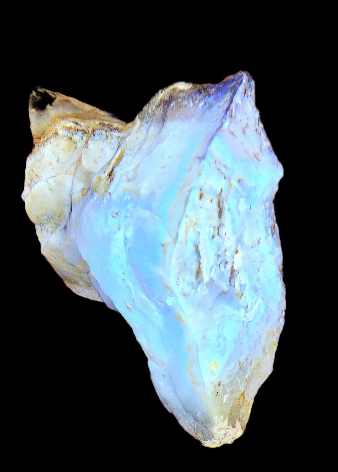 Natural Opal Stone. Bluish white & yellow,  UV reactive 2.6lb . Certified .