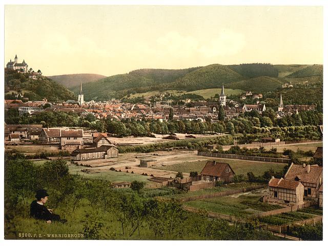 General view, Wernigerode, Hartz, Germany c1900 OLD PHOTO