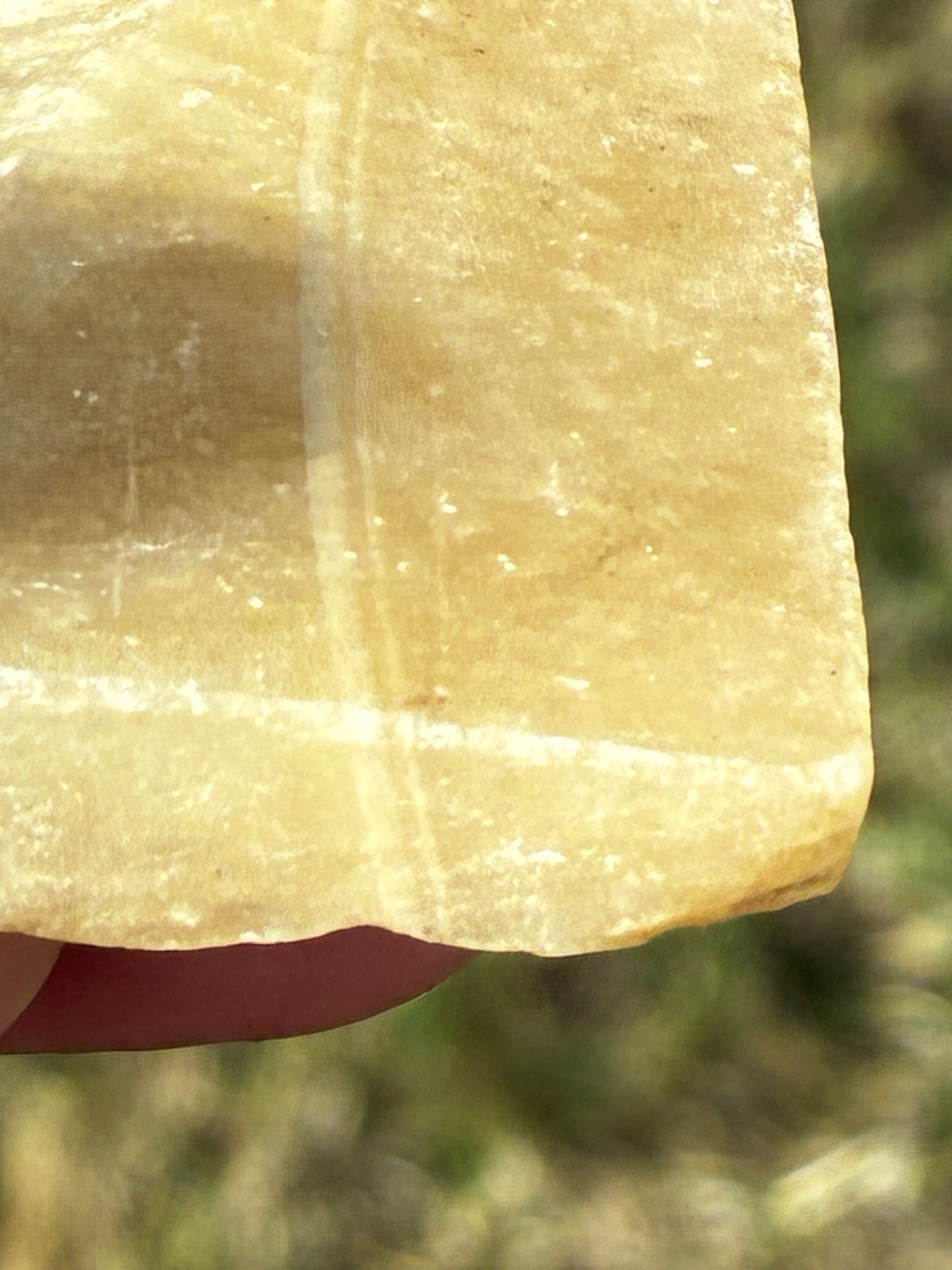 Honey Onyx Slice From Grandpa’s Rock Shop Estate