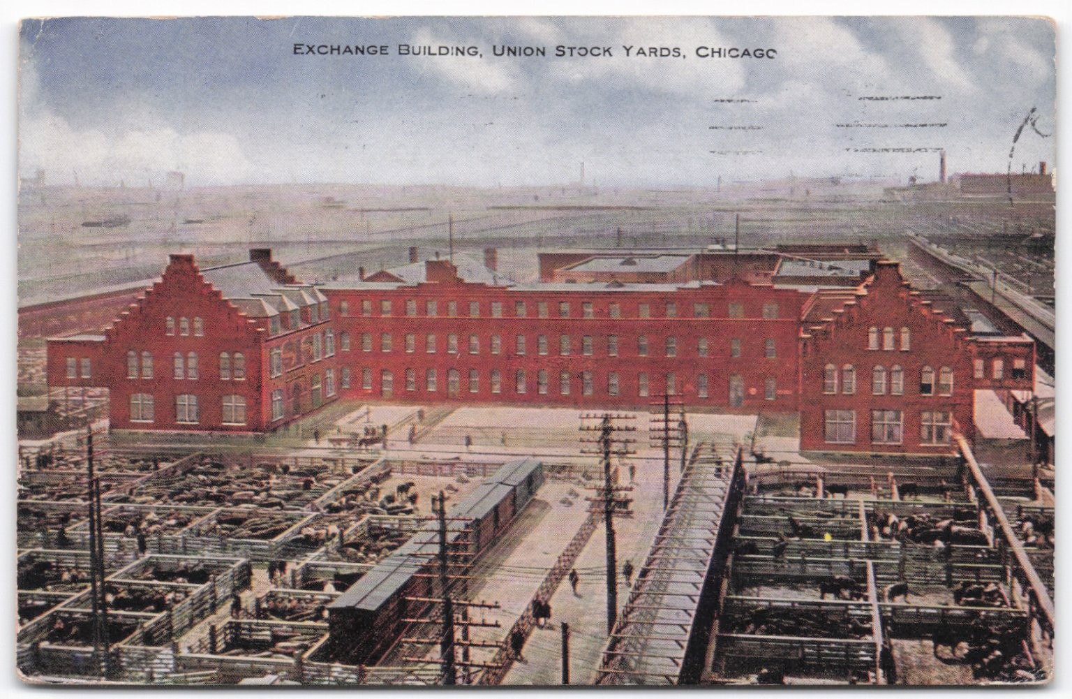 Chicago Union Stock Yards Exchange Building Postcard Vintage 1910s Livestock