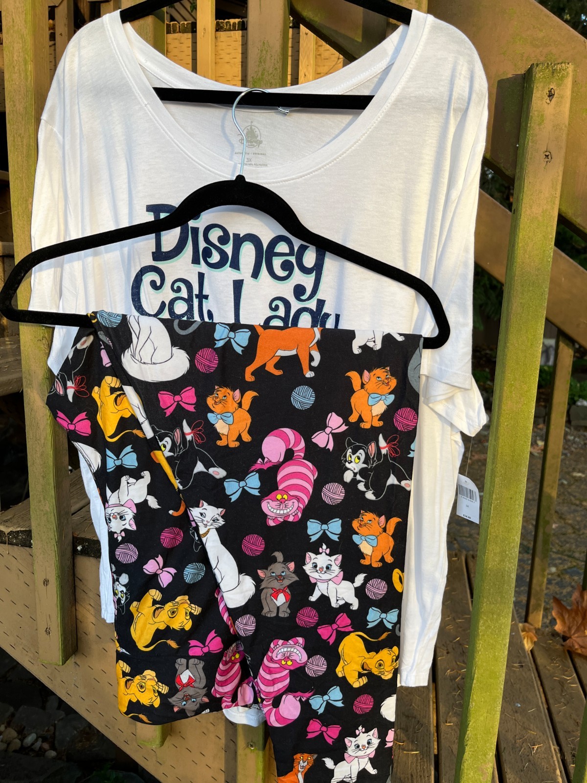 Disney Parks \