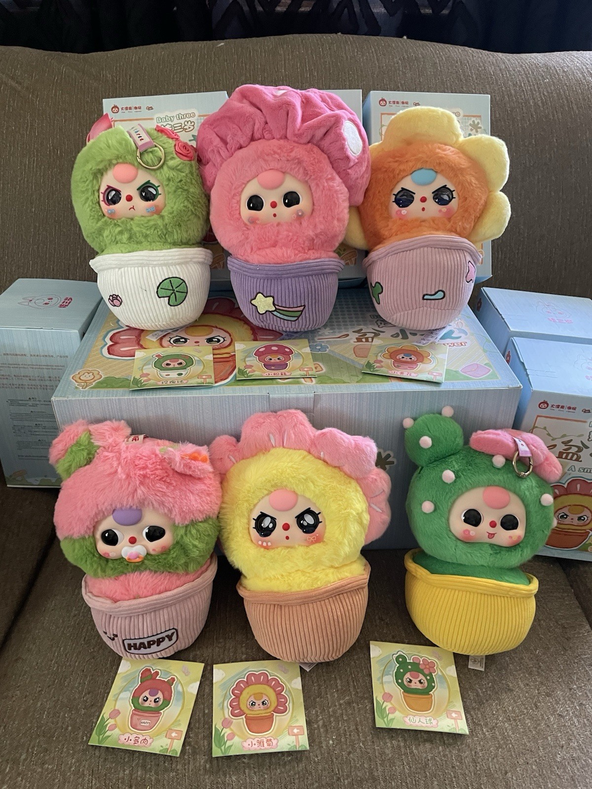 SALE Baby Three A Small Flower FULL CASE 6 Confirmed Boxes New In Box Read