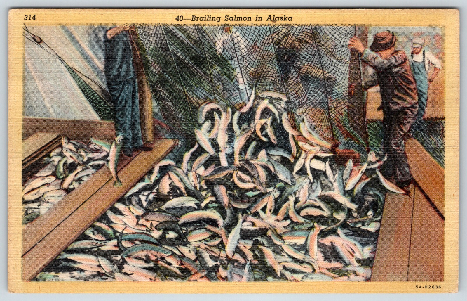 Postcard Brailing Salmon Greatest Industry In Alaska Unposted