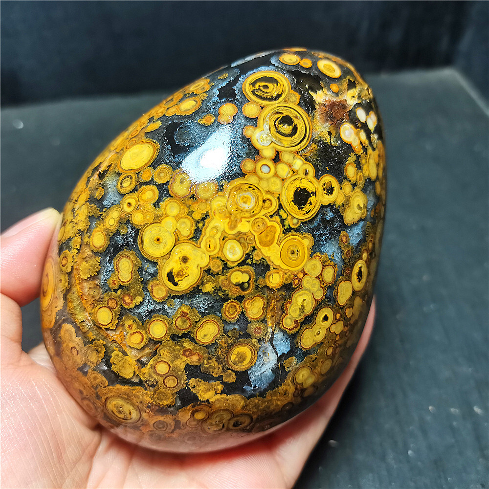 Rare 773G Natural Inner Mongolia Gobi Eye Agate Geode Collection Healing WD1460