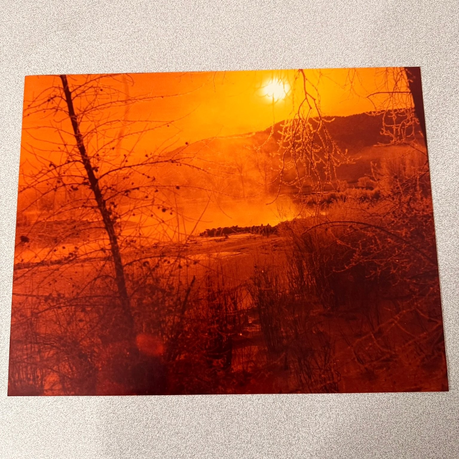 Golden Sunrise Landscape 1983 Snapshot Photograph Kodak Vtg Nature Scene 11x14