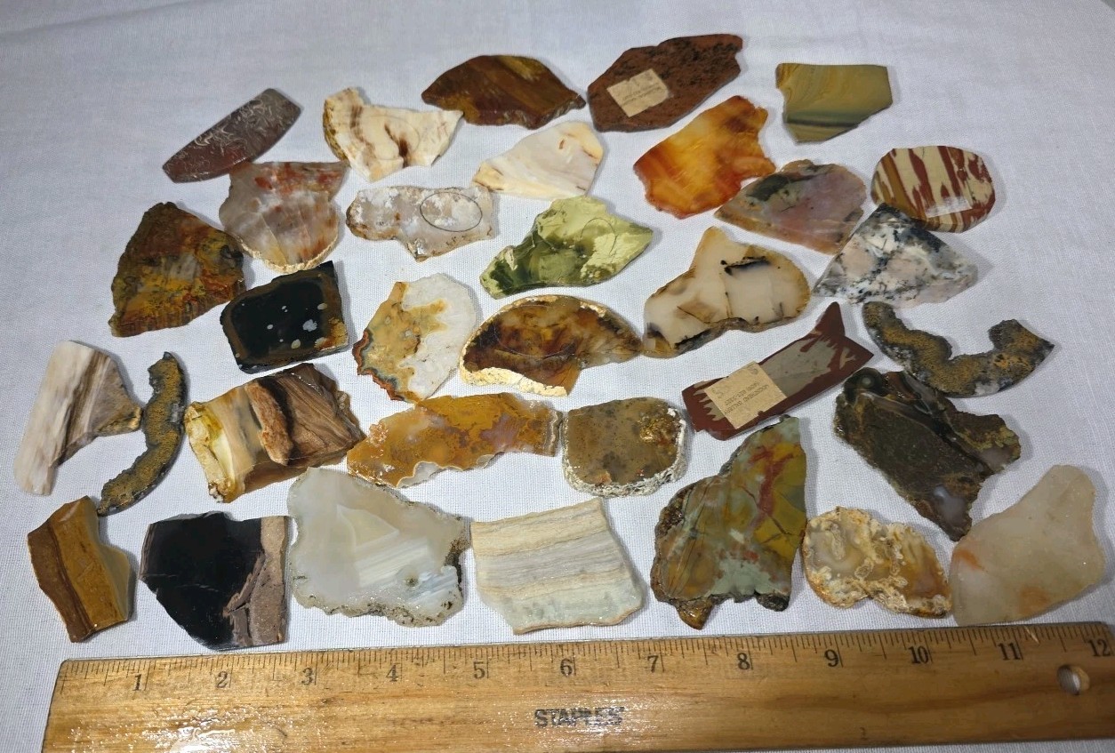 RT Rocks 1 Lb + Slab Lot Tumble, Crafts,Cabbing Agate Jasper Pet Wood, 