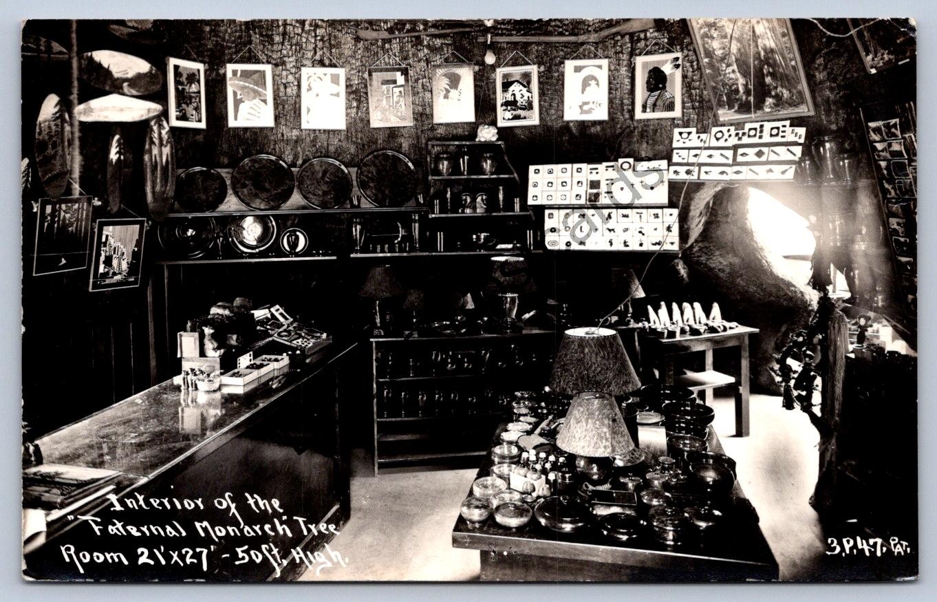 K69/ Fortuna California Postcard RPPC \'44 Interior Monarch Redwood Tree Store 91