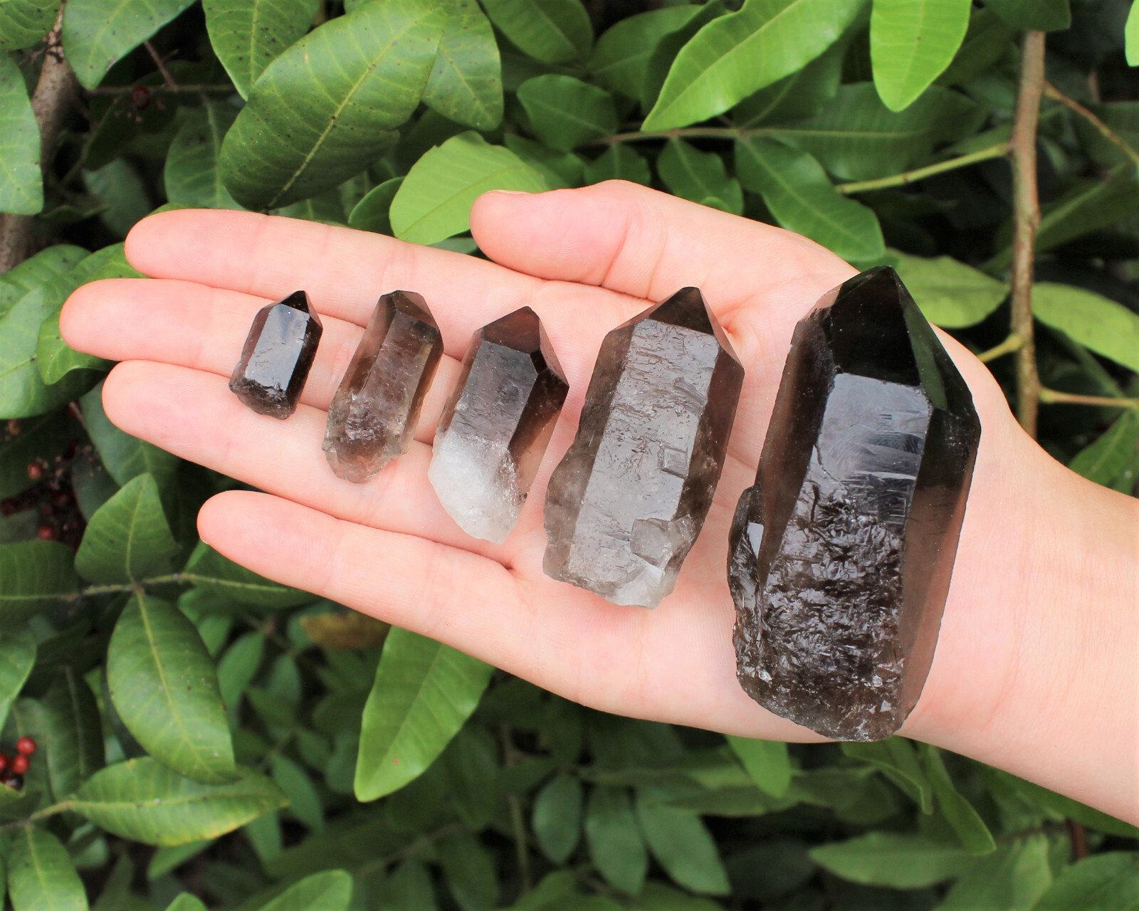 Smoky Quartz Points, \'A\' Grade Smokey Quartz Crystal - Choose Size