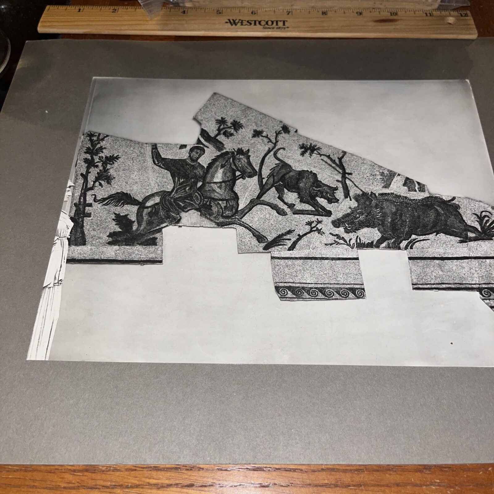 Antique Boar Hunt Mounted Roman Mosaic Photo Rome Museo Mussolini