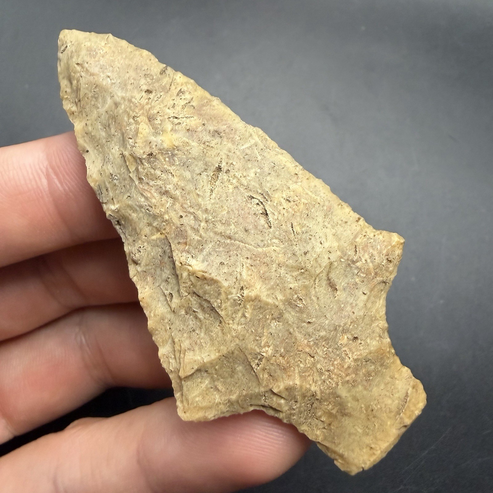 Authentic Florida Arrowhead - Possible Newnan? 3.04” Authentic Artifact