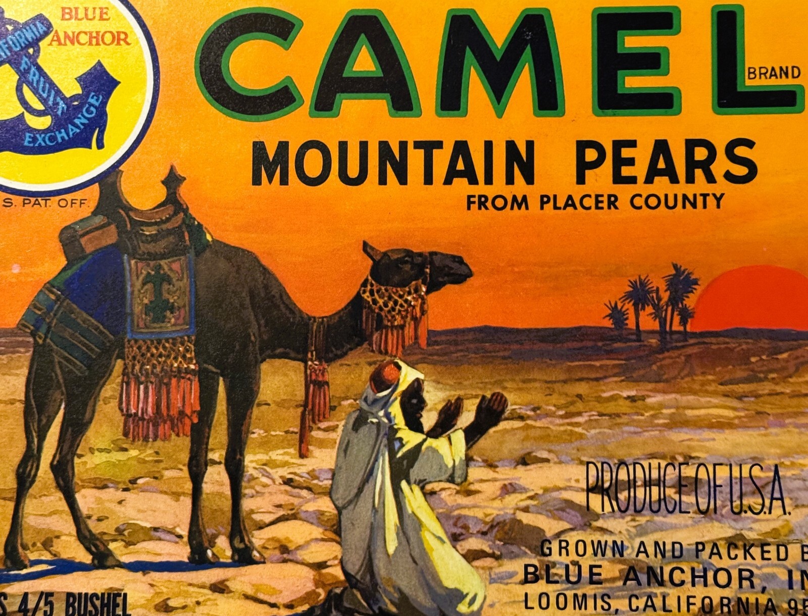 Vintage Late 1960s-90s Camel Mountain Pears Crate Label 🍐 Loomis CA Desert