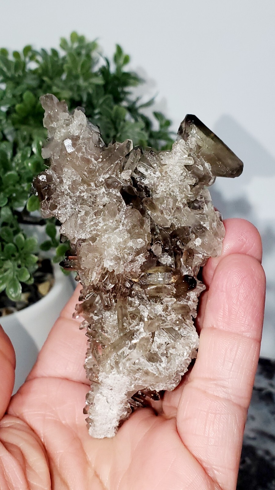 160g Natural Raw SMOKEYQuartz Crystal Cluster Mineral Specimen 160g Natural Raw SMOKEYQuartz Crystal Cluster Mineral Specimen