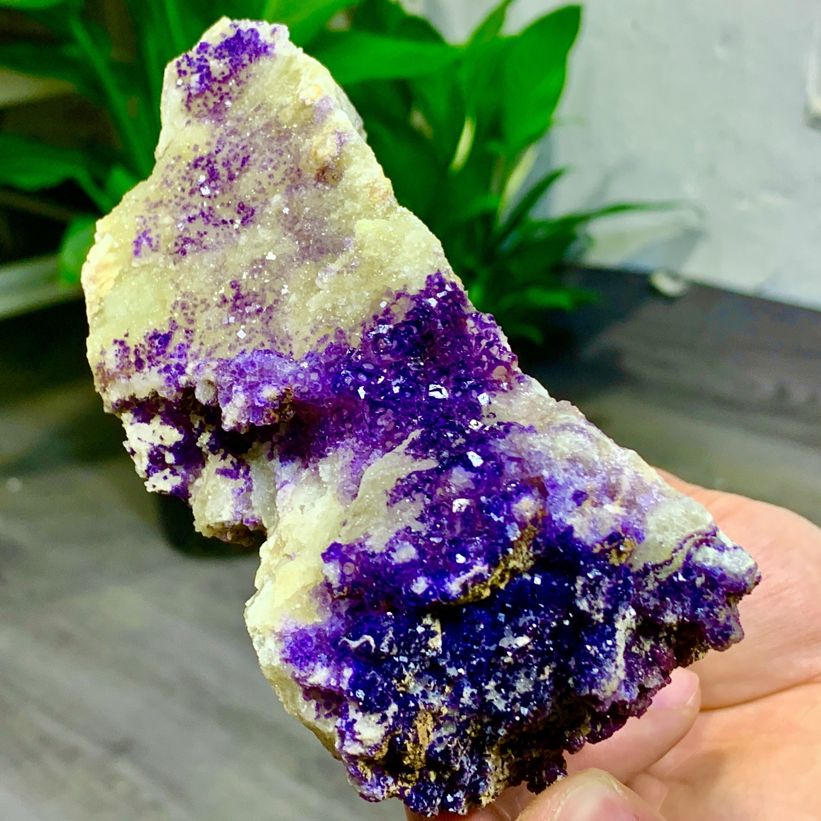 488G Natural Purple Fluorite Edged Cube Crystal Mineral Specimen/China