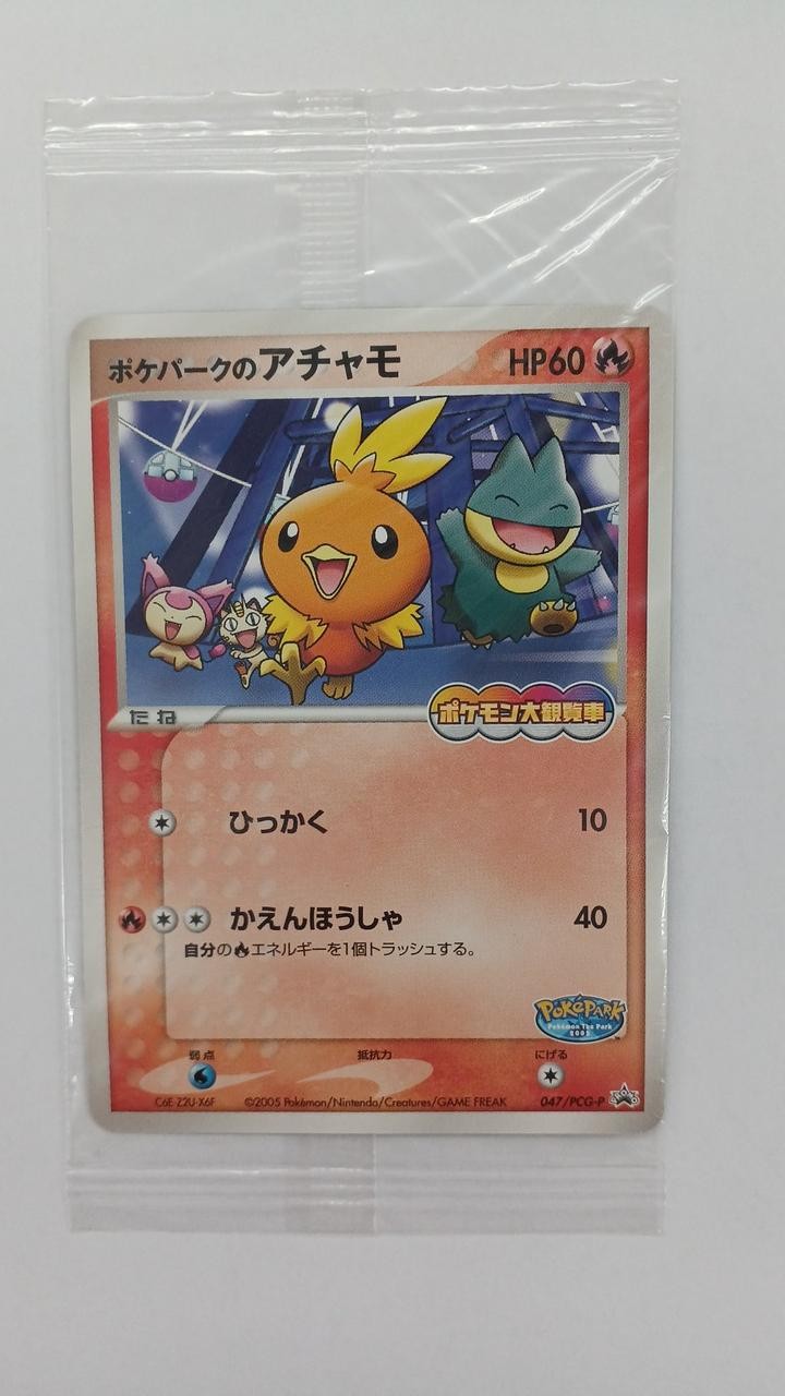 Pok park\'s Torchic Model 047/PCG P Pokemon