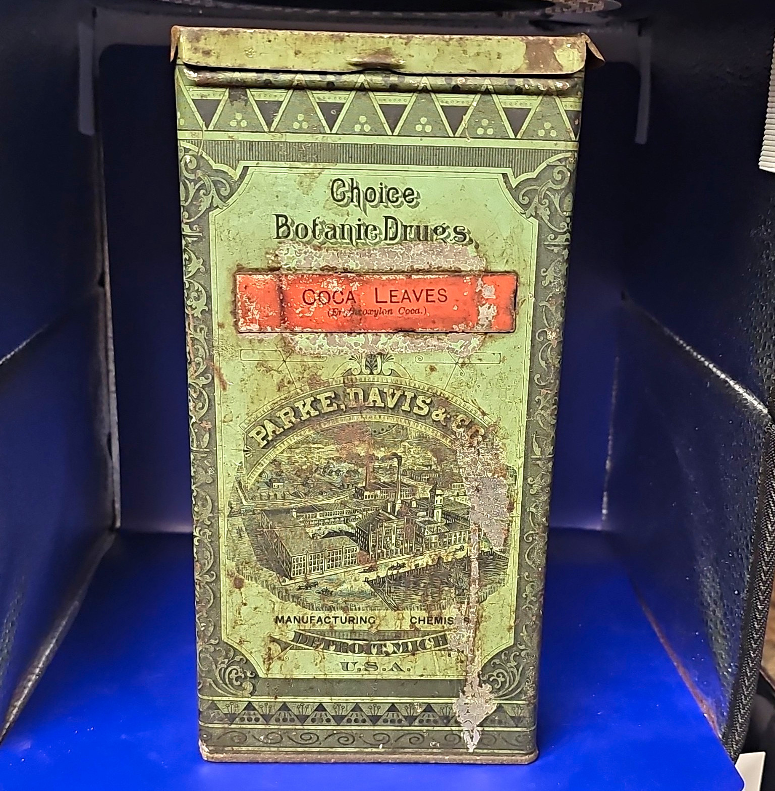 Parke, Davis & Co. Coca Leaves Choice Botanicals Advertising Tin Can Green
