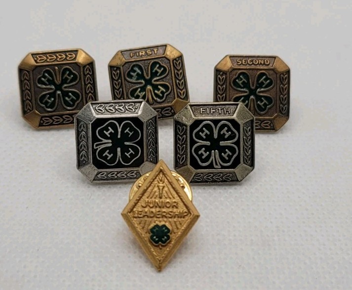 Lot Of 6 Vintage 4H Lapel Pins Awards - Junior Leadership - 