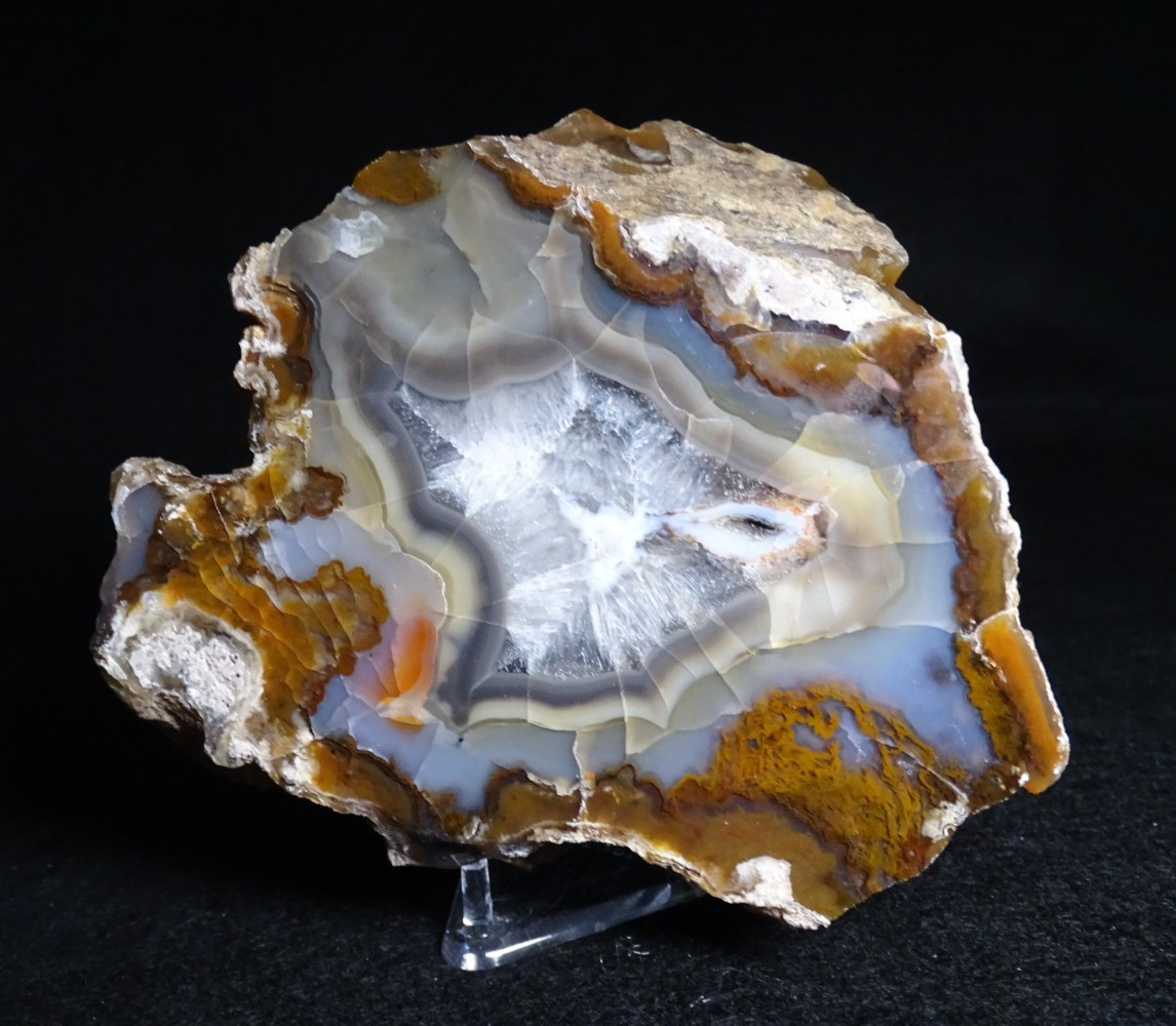 Turkish Agate Half Nodule Collector Specimen Turkey