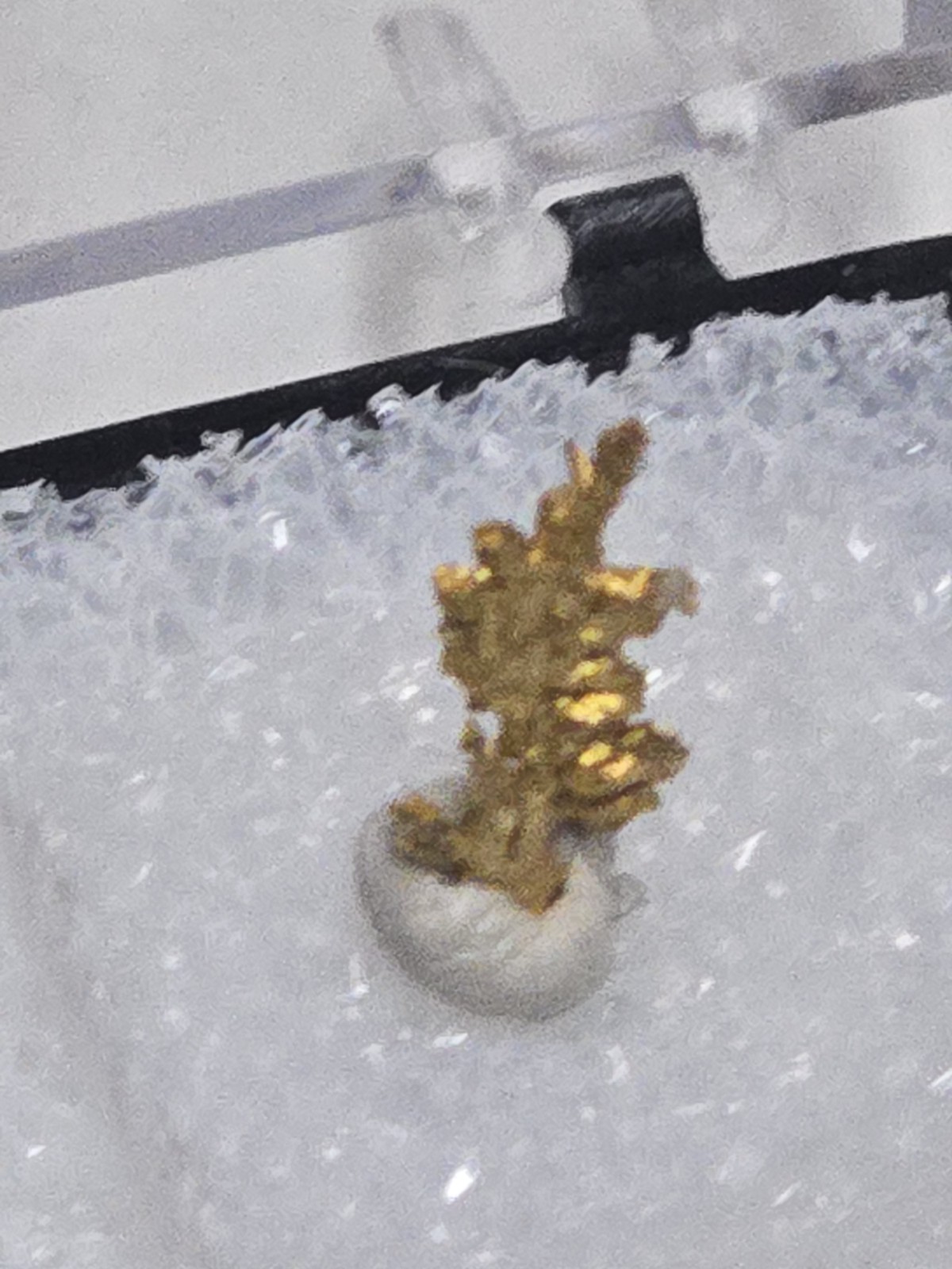 Beautiful California Crystalline Gold specimen