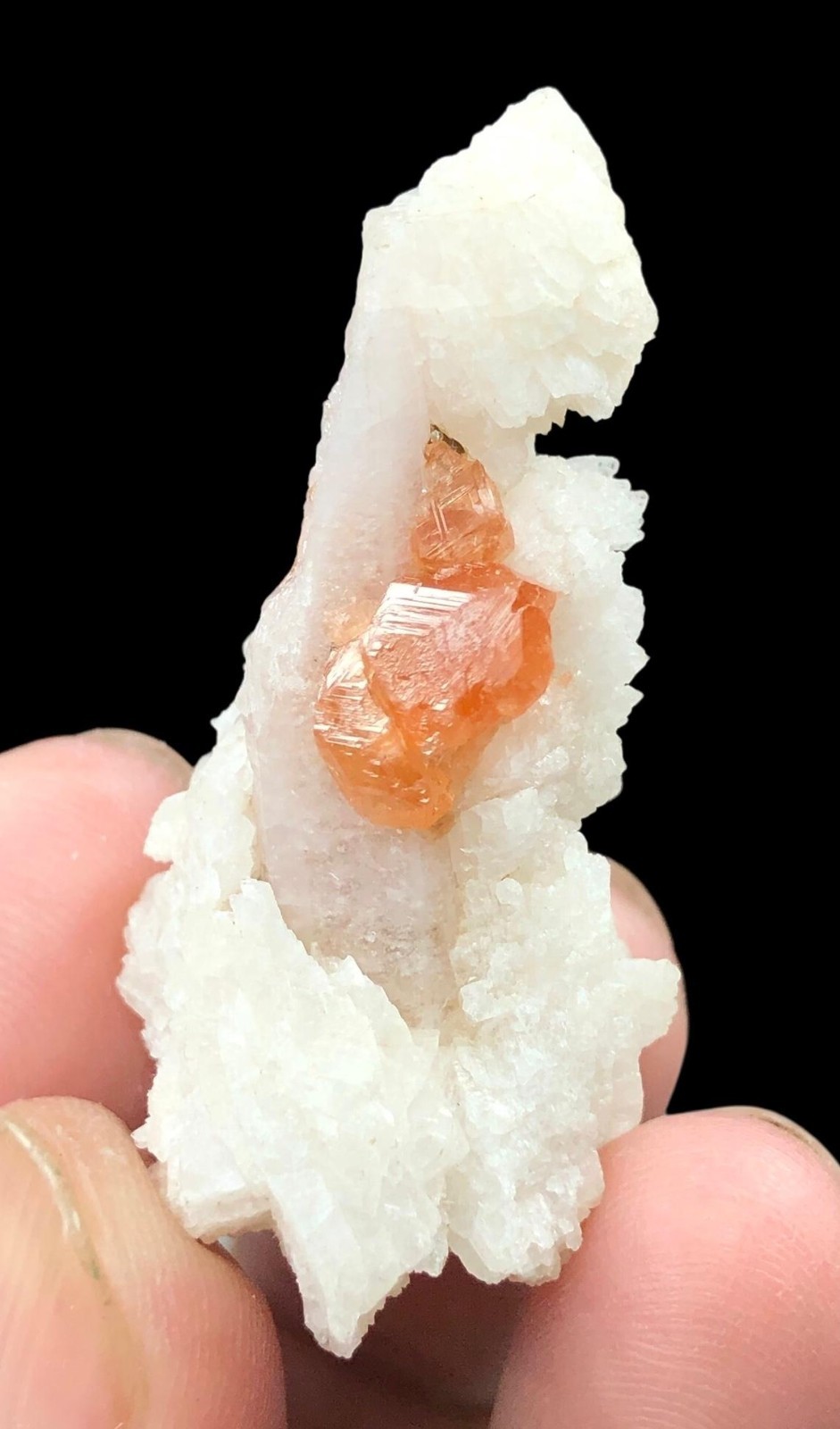 78 Cts Rare Fanta Garnet on Fluorescent Apatite & Albite | Skardu Pakistan