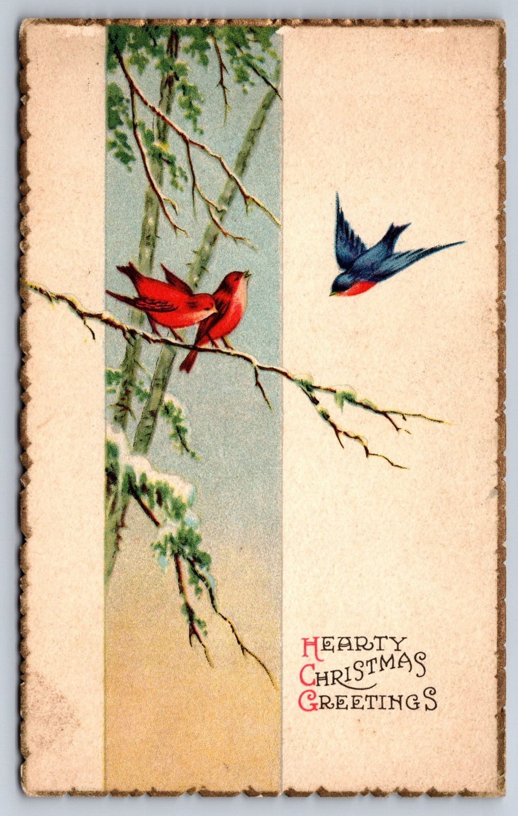 Hearty Christmas Greetings Birds Postcard