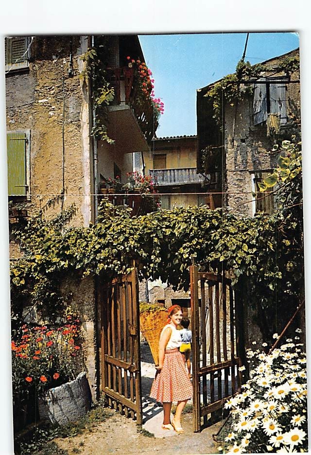 Postcard Typical Rustic View of A Village