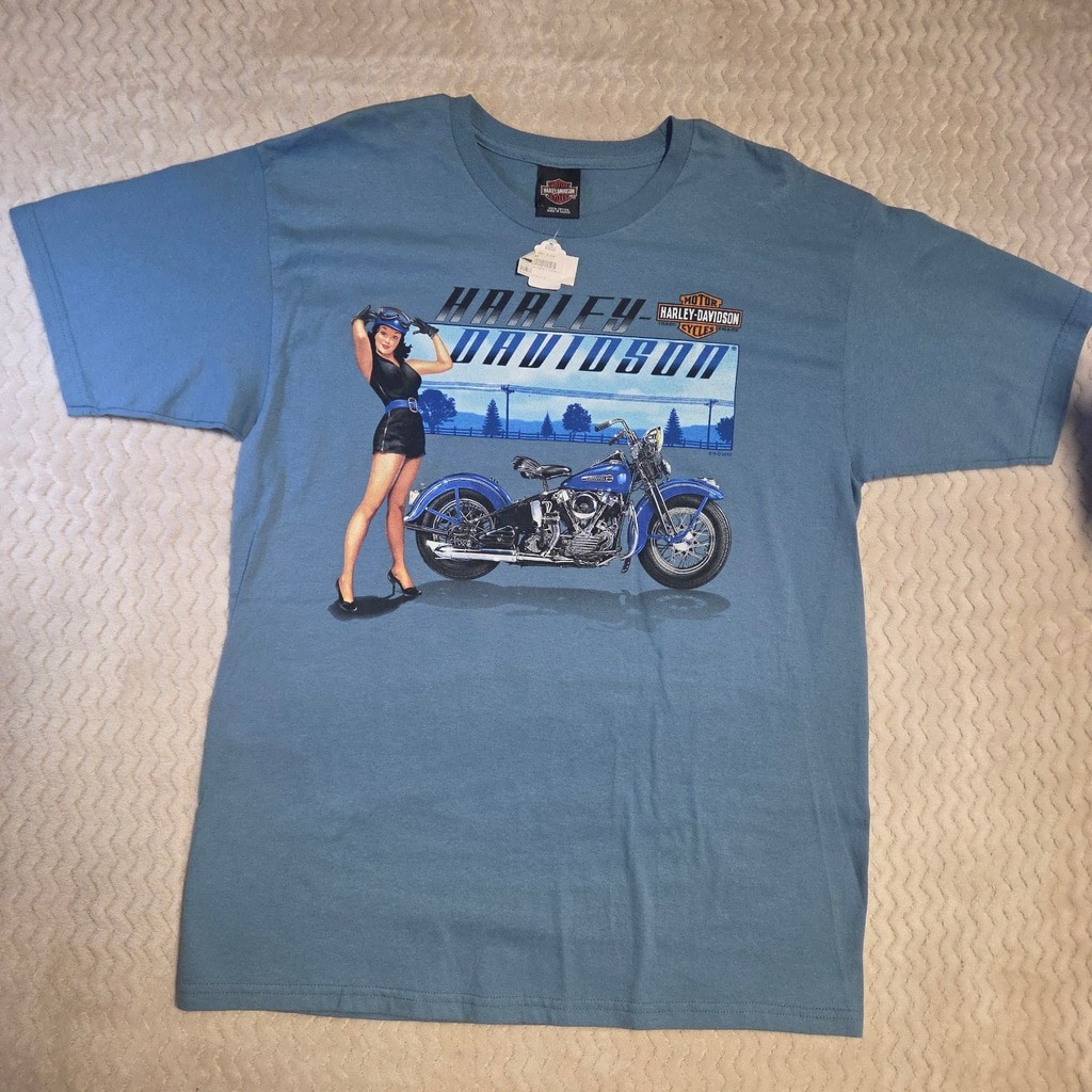 Men's Harley-Davidson Graphic Tee Shirt Size L Blue Black