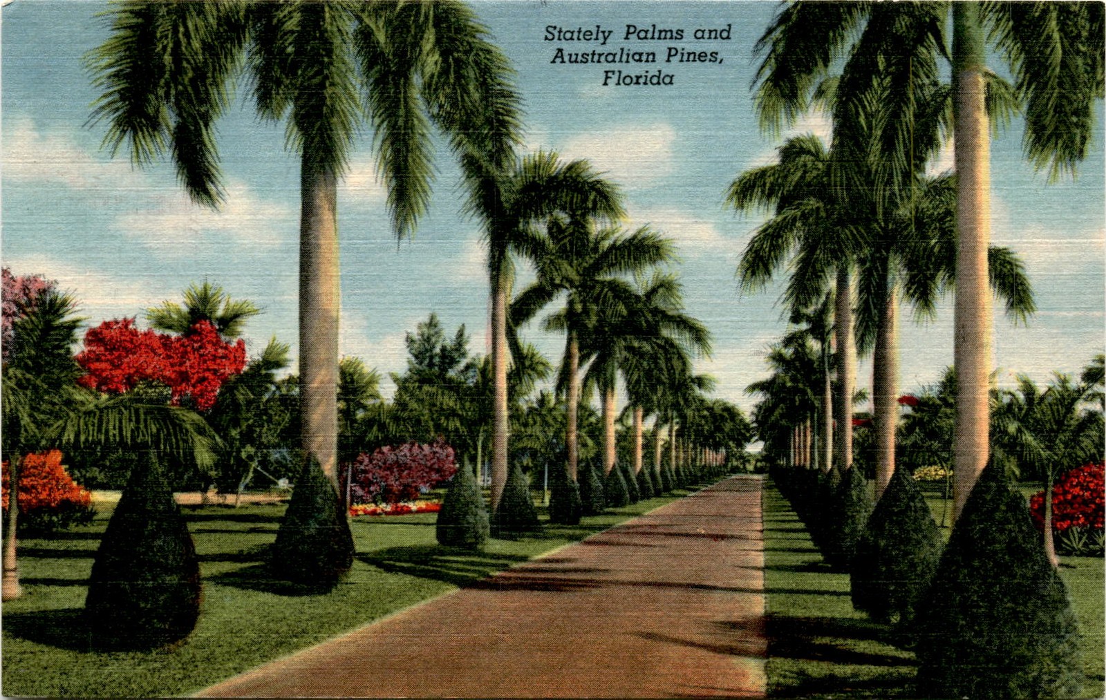 Florida, Miami, G. W. Romer, 1958, Jefferson, Daniel Golden, Postcard