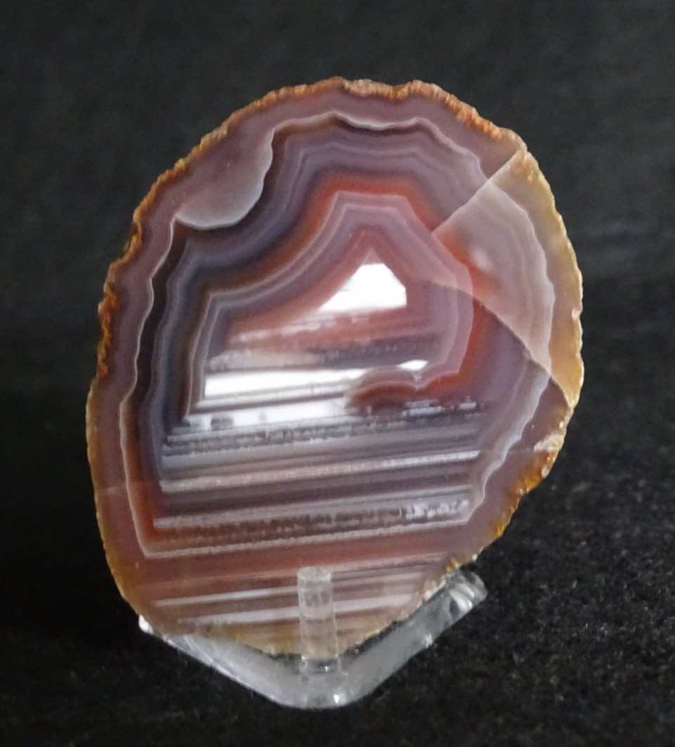 Mozambique Agate Half Nodule Collector Specimen Rock Mozambique