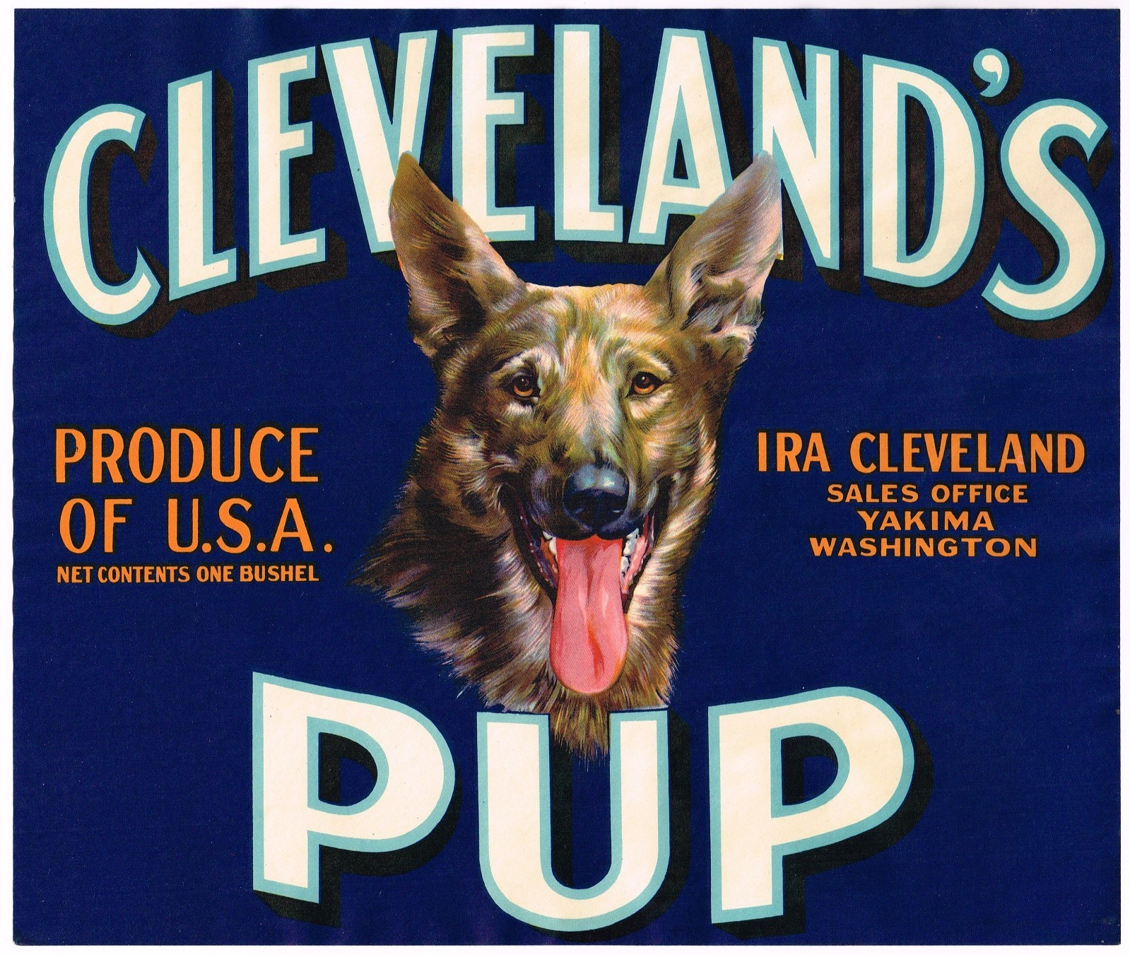 RARE ORIGINAL C1940S APPLE CRATE LABEL CLEVELANDS PUP YAKIMA GERMAN SHEPHERD